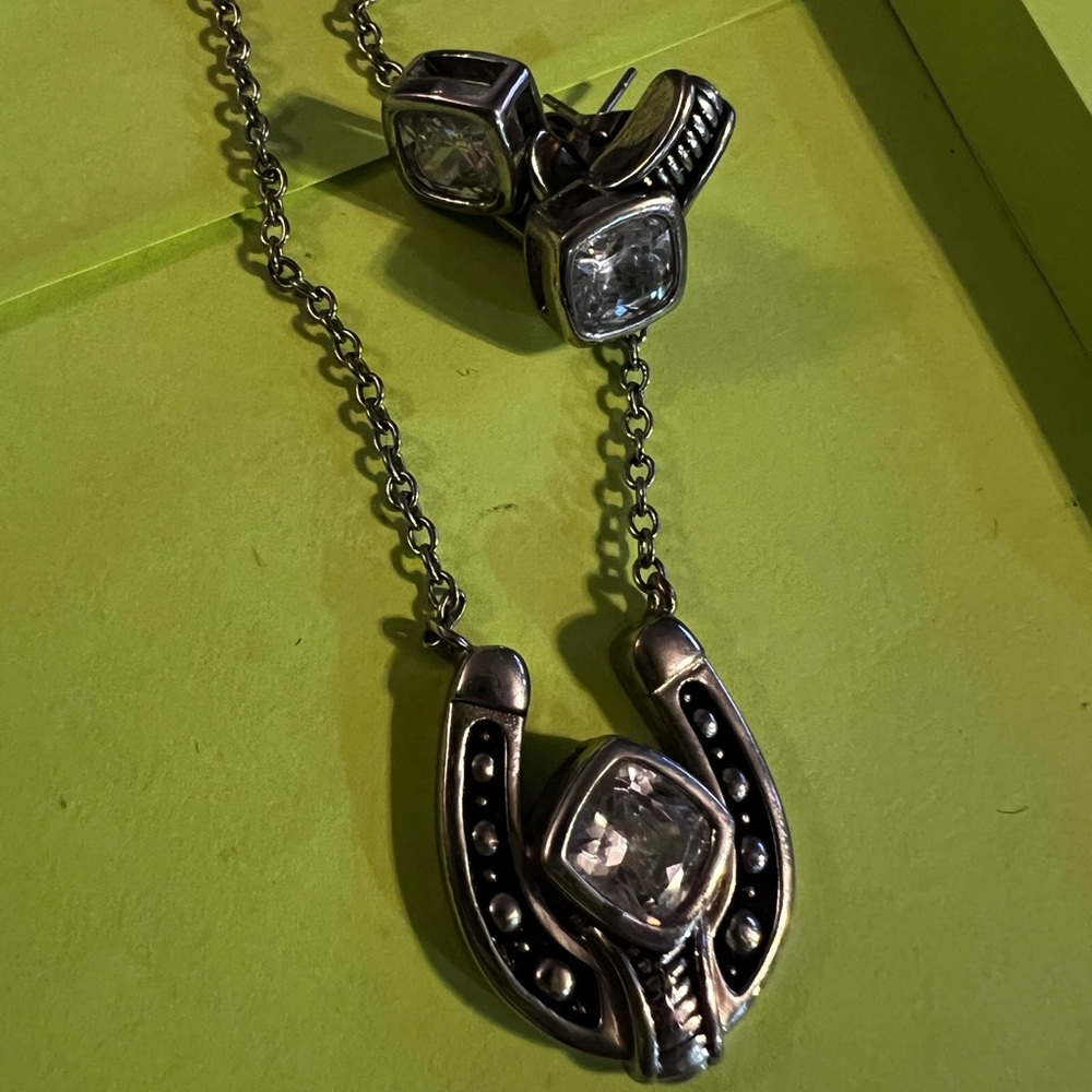 Silver Horseshoe Necklace and Earring Set